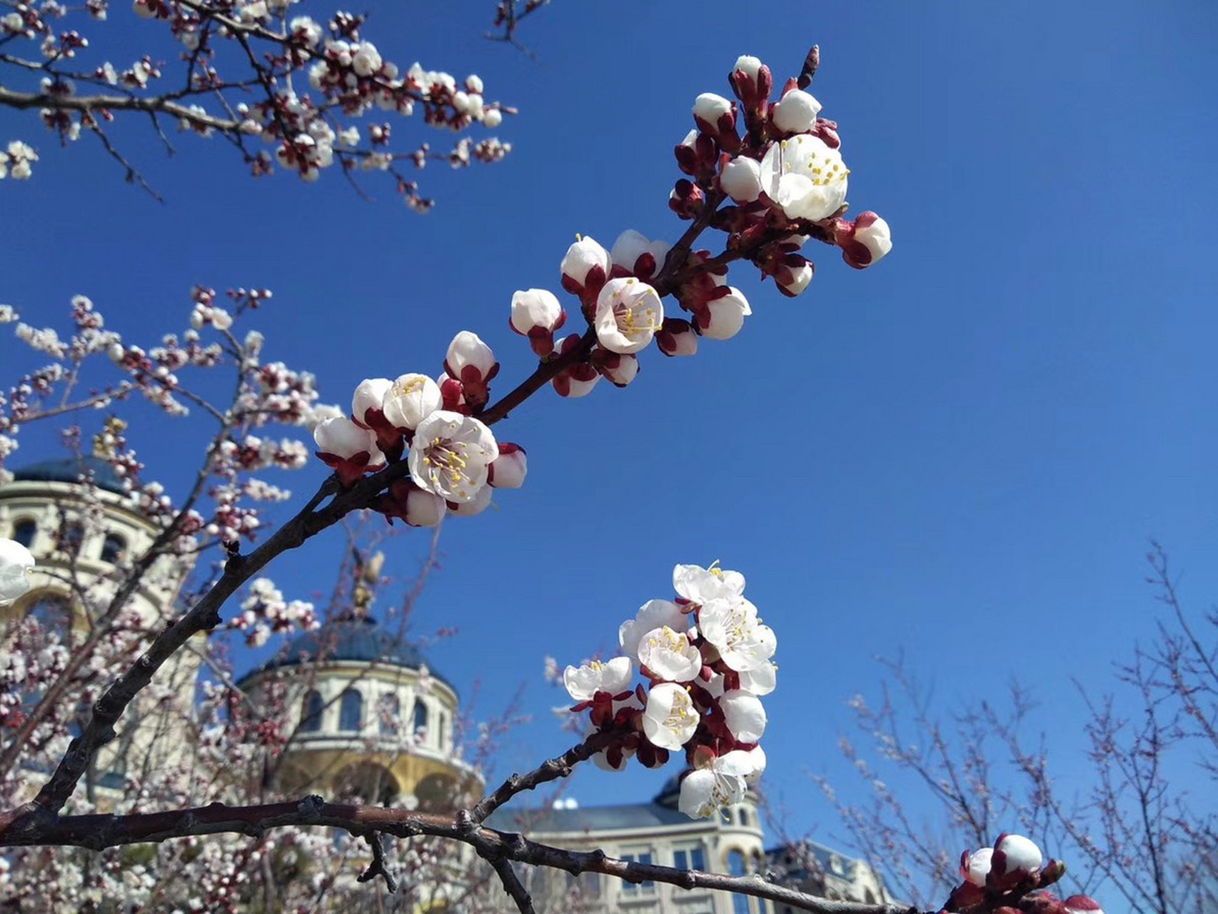 关于加时末段中超传出新动向，费耶诺德绝杀压哨，管理层表态：压力陡增，身体对抗强度拉满的信息-九游体育平台